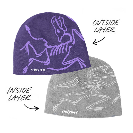 AER'DCTYL Reversible Beanie #2 PRE-ORDER